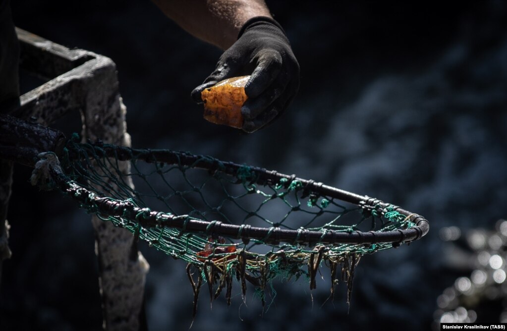 A laborer works at the world's largest amber deposit in the village of Yantarny in Russia's Kaliningrad region. (Stanislav Krasilnikov/TASS)