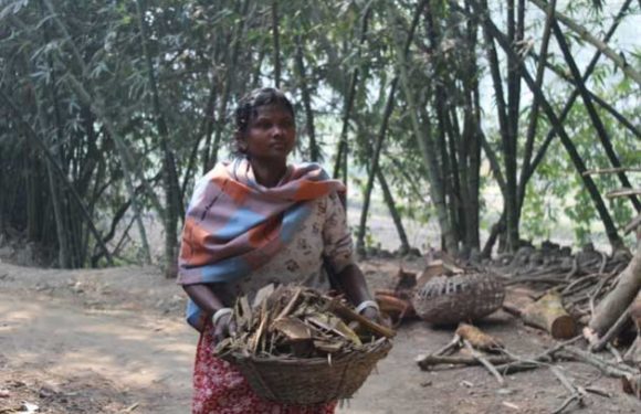 Protecting the Rights of Indigenous Peoples as They are Forced to Move into Cities
